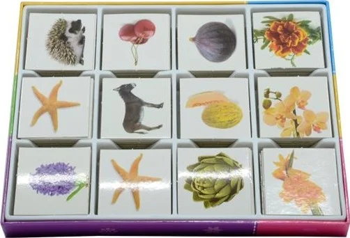 Temel Basic Remember Matching and Memory Game Cards