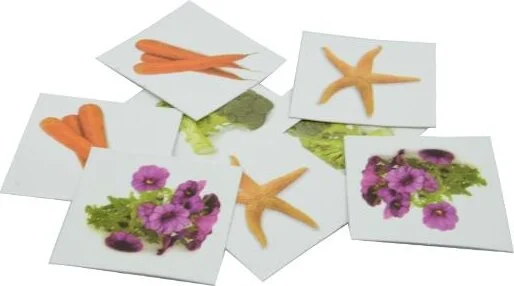 Temel Basic Remember Matching and Memory Game Cards