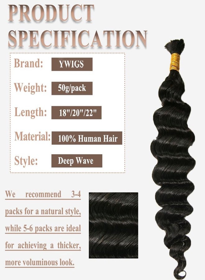 Y WIGS YWIGS Human Braiding Hair for Boho Braids 50G No Weft Virgin Human Hair Deep Wave Bulk Human Hair for Braiding 20inch - Image 2