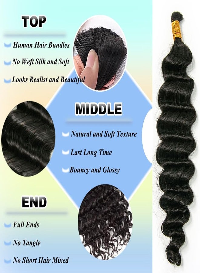 Y WIGS YWIGS Human Braiding Hair for Boho Braids 50G No Weft Virgin Human Hair Deep Wave Bulk Human Hair for Braiding 20inch - Image 3