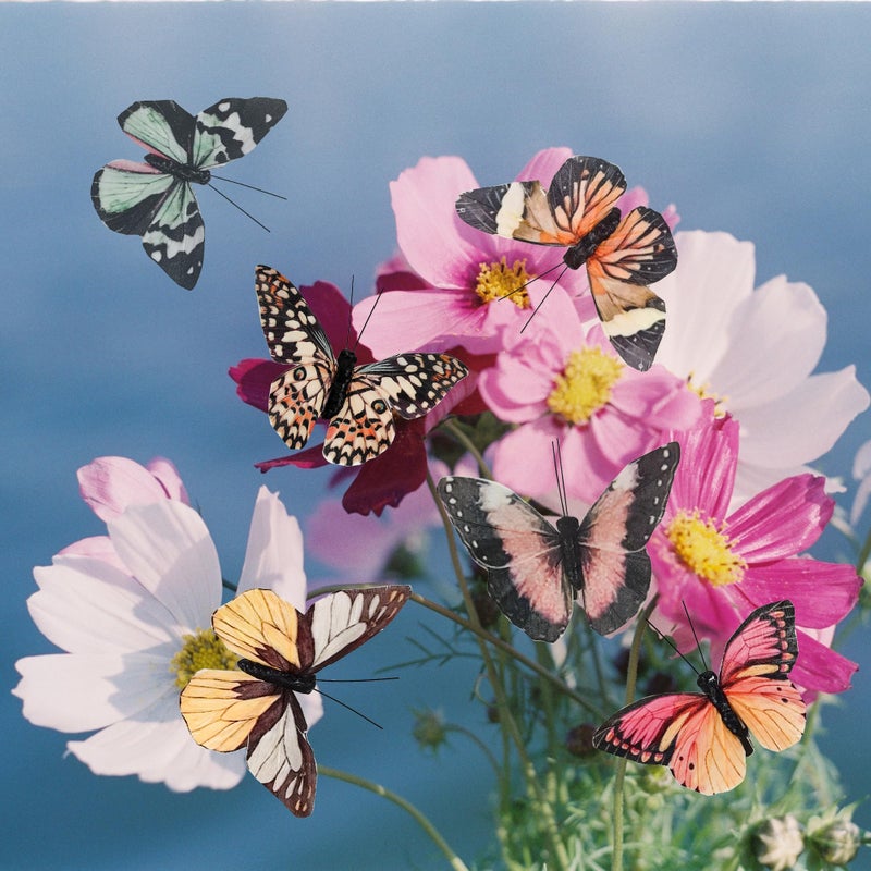 Cartanfill- Artificial Feather Simulation Butterfly Party Decoration Set, a Set of 12 Pieces with Clips, Used for Home Decoration in 12 Colors.â€¦ (B Clip) - Image 2