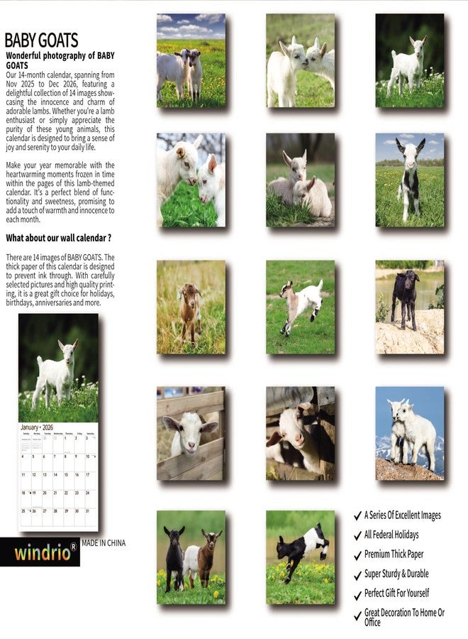 windrio 2026 Wall Calendar,Calendar 2026, November 2025 - December 2026, Wall Calendar Baby Goats, 12" x 24" Opened,Full Page Months Thick & Sturdy Paper for Calendar Organizing & Planning - Image 2