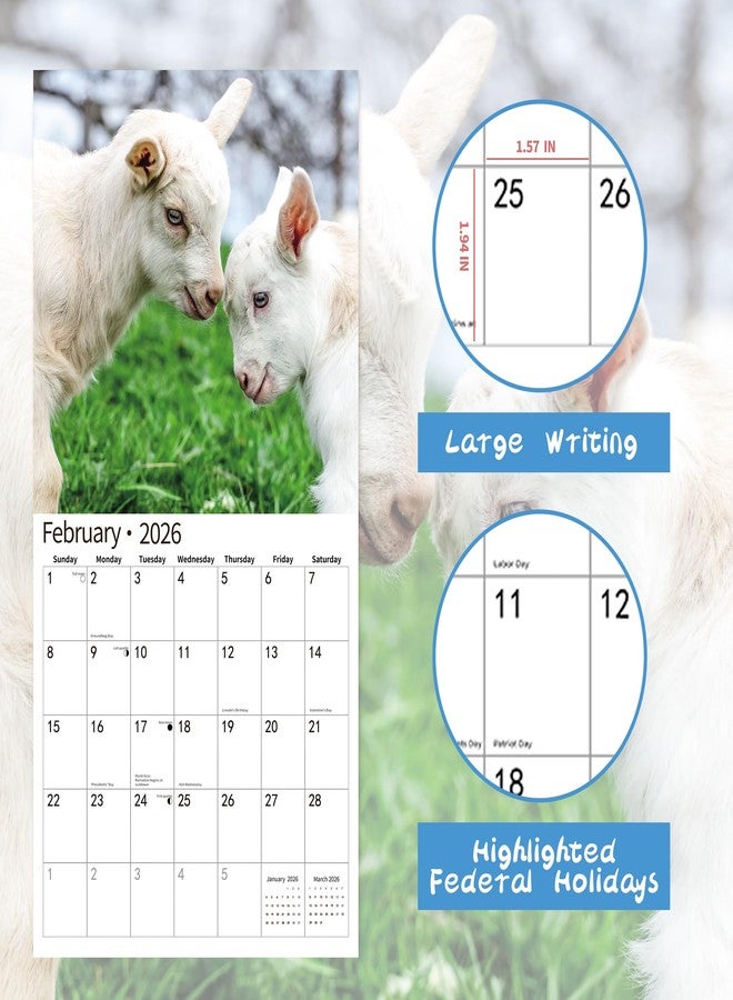 windrio 2026 Wall Calendar,Calendar 2026, November 2025 - December 2026, Wall Calendar Baby Goats, 12" x 24" Opened,Full Page Months Thick & Sturdy Paper for Calendar Organizing & Planning - Image 3