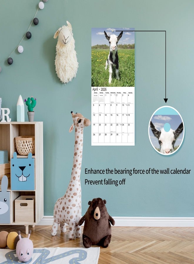 windrio 2026 Wall Calendar,Calendar 2026, November 2025 - December 2026, Wall Calendar Baby Goats, 12" x 24" Opened,Full Page Months Thick & Sturdy Paper for Calendar Organizing & Planning - Image 4