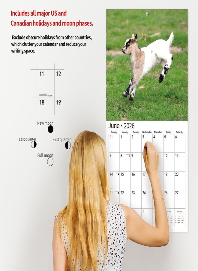 windrio 2026 Wall Calendar,Calendar 2026, November 2025 - December 2026, Wall Calendar Baby Goats, 12" x 24" Opened,Full Page Months Thick & Sturdy Paper for Calendar Organizing & Planning - Image 5