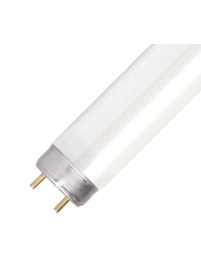 لمبة أنبوبية 120 سم تلجي من LATINO’S – 36 وات – موفرة للطاقة – مناسبة لإضاءة المنزل والمكتب والمحلات – جودة عالية - Image 4