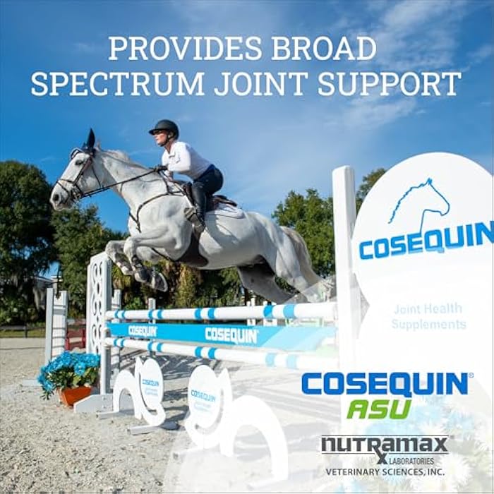 COSEQUIN ASU Joint Health Supplement for Horses - Powder with Glucosamine, Chondroitin, ASU, and MSM, 500 Grams - Image 4