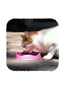 Beco Pets Beco Sustainably Made Bamboo Dishwasher Safe Cat Food And Water Bowl Pink 250Ml  - Image 3