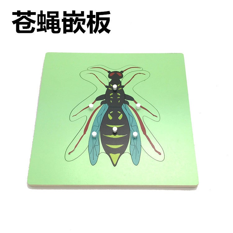 Professional Version Of Montessori Animal And Plant Panel Puzzle Montessori Teaching Aids 0-3 Early Education Educational Toys Direct Supply From The Manufacturer - Image 1