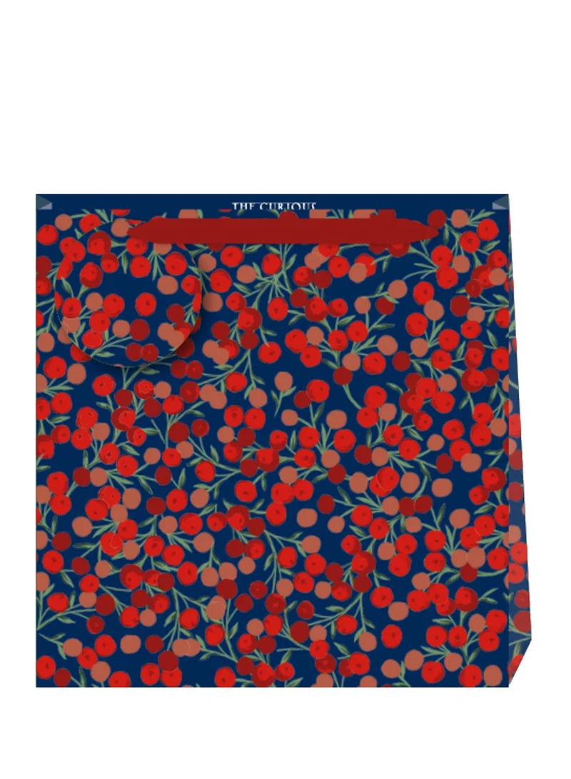 Penny Kennedy Patterned Red Gift Bag Stylish
