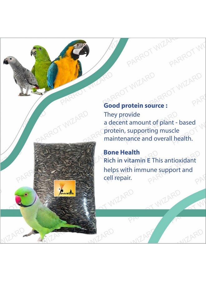 Parrots Wizard All Life Stages Dry Bird Food Small Size Sunflower Seeds for Bird 900 G,Pack of 1 - Image 3