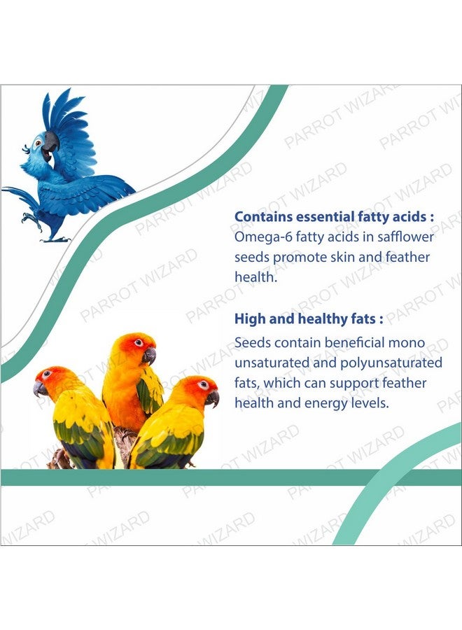 Parrots Wizard All Life Stages Dry Bird Food Small Size Sunflower Seeds for Bird 900 G,Pack of 1 - Image 4