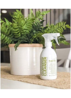 Counter Top Cleanser Rosemary & Peppermint 473 ML - pzsku/ZC61AD65B9311B04F7B98Z/45/_/1709040198/4e7e9aad-5d20-4ad6-9f9b-d530a13f7971