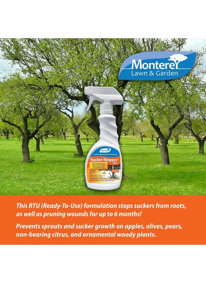 Monterey - Monterey Sucker Stopper RTU, Ready-To-Use Sprout Growth Regulator, Controls Regrowth of Tree Sprouts, 16 oz - Image 1