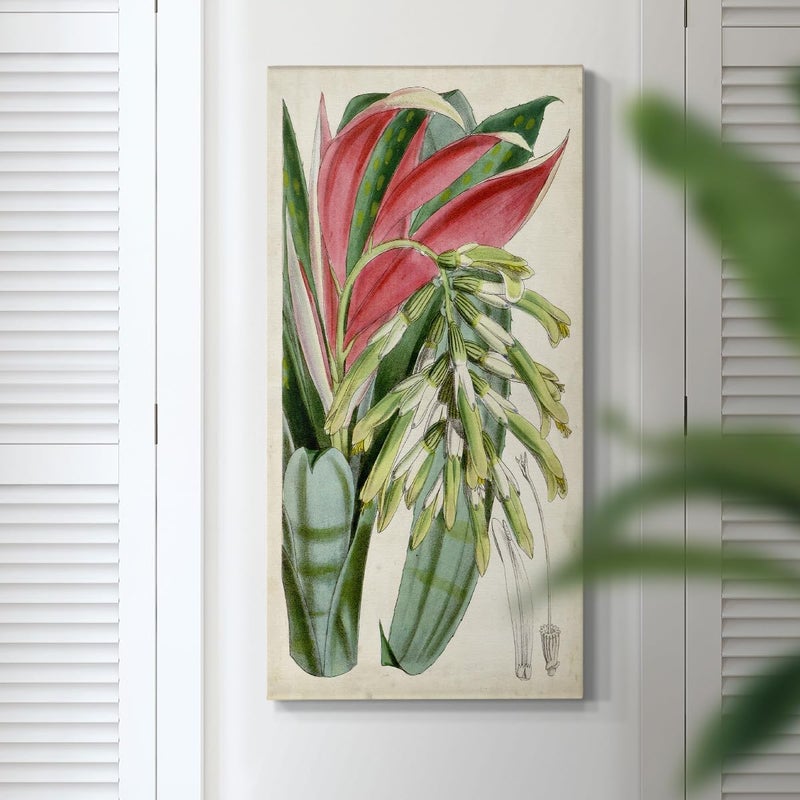 EMODA Tropical Red & Green Foliage Wall Art – Abstract Canvas Prints (30x60 cm Framed) - Image 2