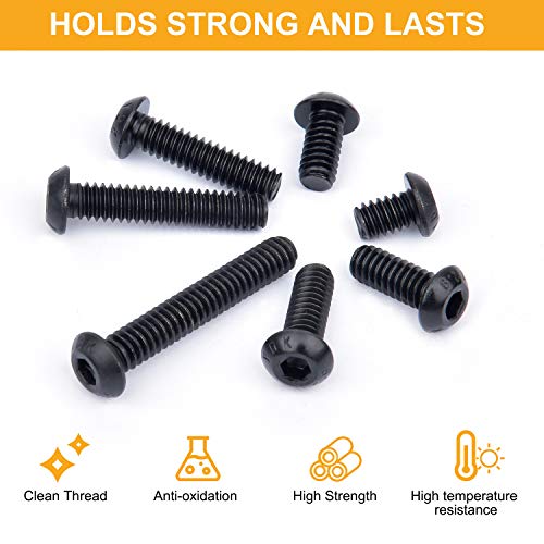 VIGRUE 305Pcs 1/4-20 Bolt and Nut Assortment Kit, 1/4-20 Black Button Head Socket Cap Screw Nuts Washers Kit, Assorted Allen Head Screws, Class 12.9 Alloy Steel - Image 5