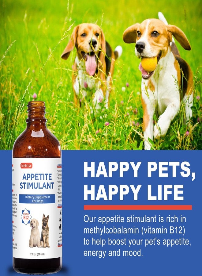 Netrca Appetite Stimulant for Dogs - Vitamin B12 (Methylcobalamin) Liquid Supplement - Boosts Appetite, Energy, and Mood - 60 ml - Image 3