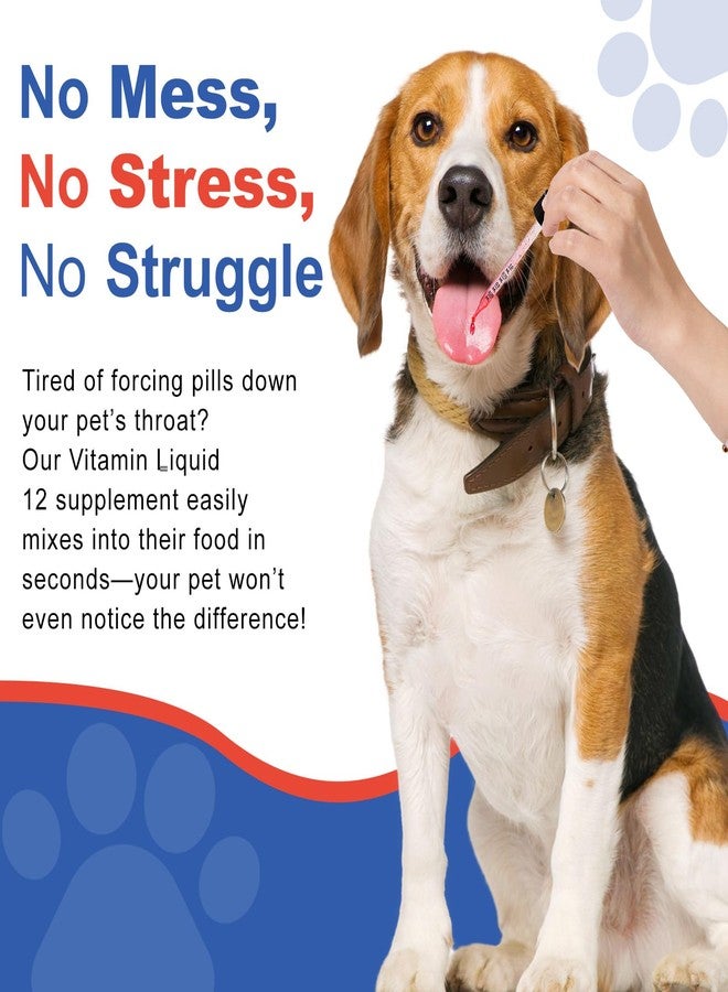 Netrca Appetite Stimulant for Dogs - Vitamin B12 (Methylcobalamin) Liquid Supplement - Boosts Appetite, Energy, and Mood - 60 ml - Image 4