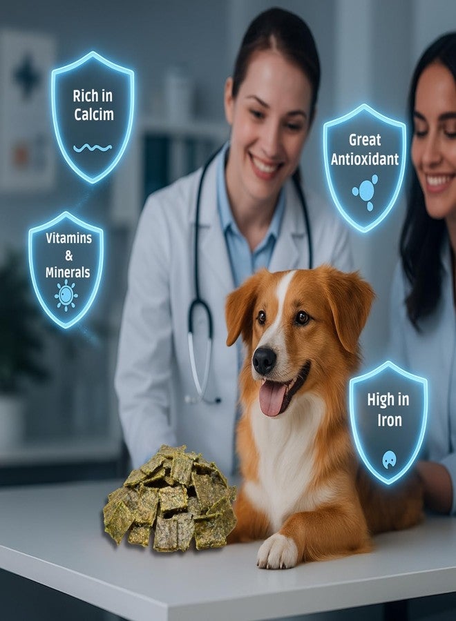 سايج سكوير مكافآت سيج سكوير للكلاب | وجبة خفيفة مقرمشة غنية بالبروتين والحديد للكلاب | تدعم المناعة والهضم وقوة العظام | مكافآت وألعاب مضغ صحية للتدريب | مكافأة مغذية (45 غرام، دجاج وسبانخ) - Image 3