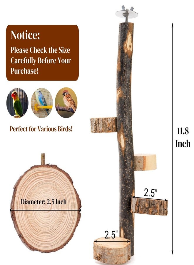 Eorbow Natural Wood Bird Perch, 12 Inch Parrot Perch Stand for Cage, Small Animals Hanging Perch & Platforms for Parakeet Parrots Cockatiel, Conure, Budgie, Macaw, Bird Cage Accessories - Image 2