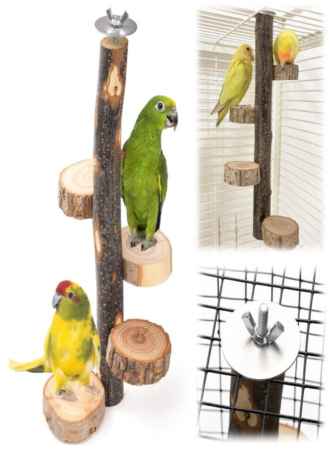 Eorbow Natural Wood Bird Perch, 12 Inch Parrot Perch Stand for Cage, Small Animals Hanging Perch & Platforms for Parakeet Parrots Cockatiel, Conure, Budgie, Macaw, Bird Cage Accessories - Image 1