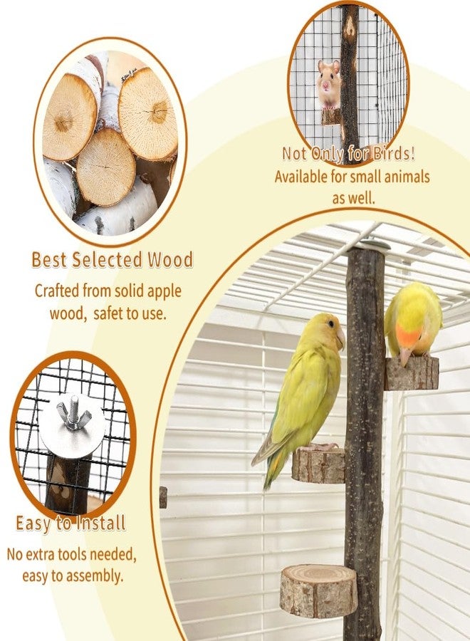 Eorbow Natural Wood Bird Perch, 12 Inch Parrot Perch Stand for Cage, Small Animals Hanging Perch & Platforms for Parakeet Parrots Cockatiel, Conure, Budgie, Macaw, Bird Cage Accessories - Image 3