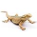 Lukinuo Bearded Dragon Animal Figurines Lizard Figurine Toys Lizard Animals Figures Plastic Lizard Model for Cake Decoration Educational Toys Gecko Animal Trick Reptile Prank Props - Image 2