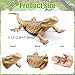Lukinuo Bearded Dragon Animal Figurines Lizard Figurine Toys Lizard Animals Figures Plastic Lizard Model for Cake Decoration Educational Toys Gecko Animal Trick Reptile Prank Props - Image 4