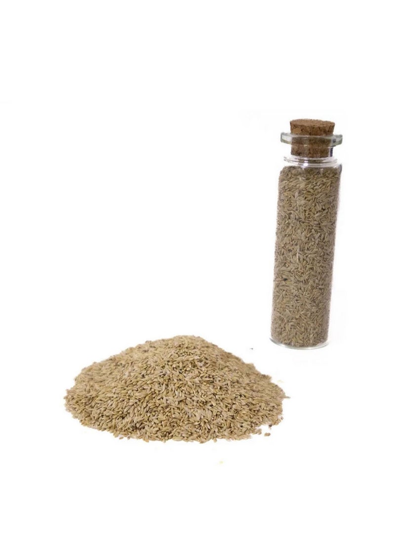 Aquarium Seeds Mini Hair Grass 15ml - Image 1