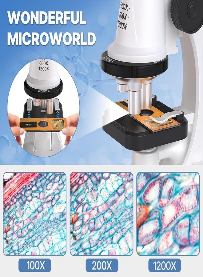 PN AVAN Kids Microscope Kit 1200X Zoom with 44PCS Slides Set | Educational Science Toy for Boys & Girls | Beginner Student Microscope with LED Light, Lab Accessories & Storage Case | STEM Learning Kit - Image 5