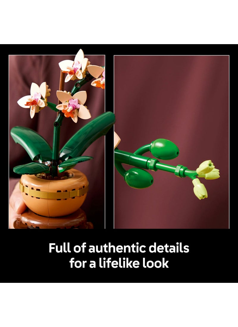 LEGO Botanicals Mini Orchid Plant Gift 10343 (274) Pieces  - Image 5