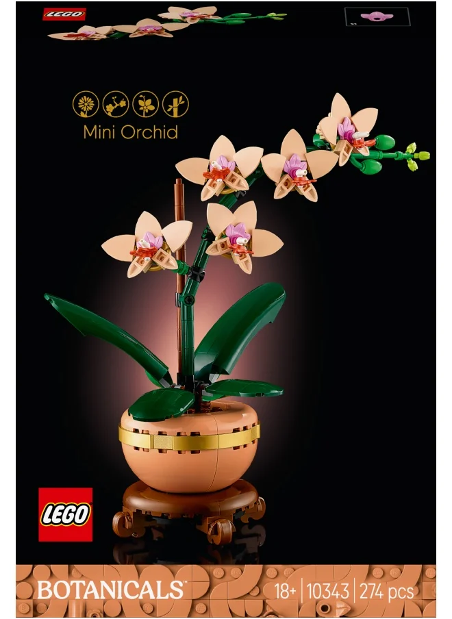 LEGO LEGO Botanicals Mini Orchid - Artificial Flowers Set for Adults - Indoor Plant with Terracotta Style Flowerpot - Ramadan Decor Gift for Women and Men - 10343