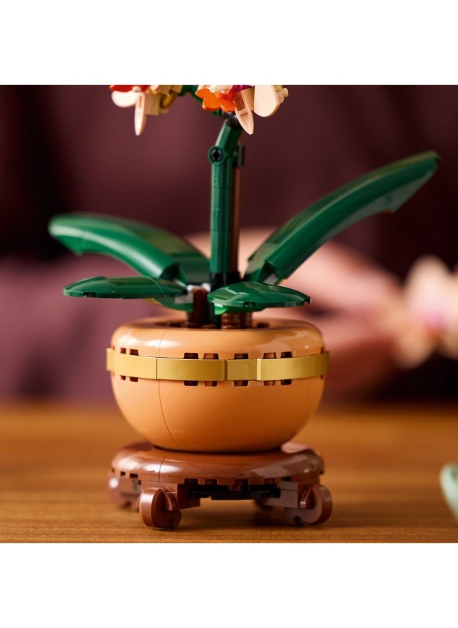 ليغو - هدية نبات الزينة الأوركيد الصغير من ليغو Botanicals للنساء والرجال، مجموعة بناء للبالغين لتصميم زهرة أوركيد، قطعة عرض وديكور للمنزل والمكتب، هدية نبات الزهور للبالغين 10343 (274 قطعة) - Image 1