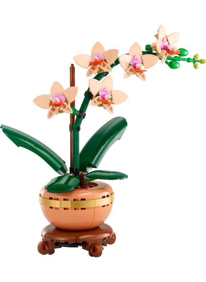 ليغو - هدية نبات الزينة الأوركيد الصغير من ليغو Botanicals للنساء والرجال، مجموعة بناء للبالغين لتصميم زهرة أوركيد، قطعة عرض وديكور للمنزل والمكتب، هدية نبات الزهور للبالغين 10343 (274 قطعة) - Image 1