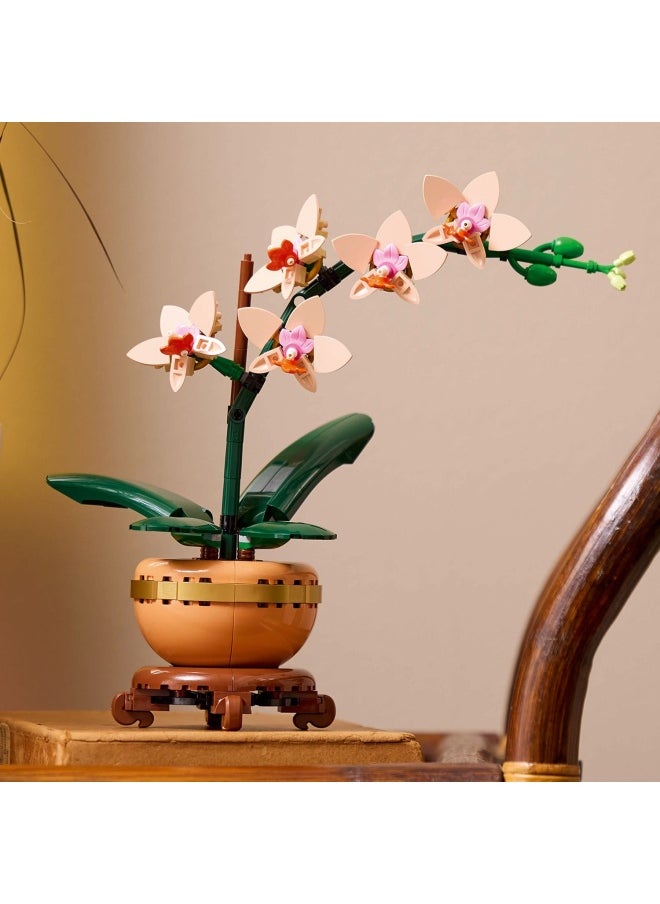 ليغو - هدية نبات الزينة الأوركيد الصغير من ليغو Botanicals للنساء والرجال، مجموعة بناء للبالغين لتصميم زهرة أوركيد، قطعة عرض وديكور للمنزل والمكتب، هدية نبات الزهور للبالغين 10343 (274 قطعة) - Image 1