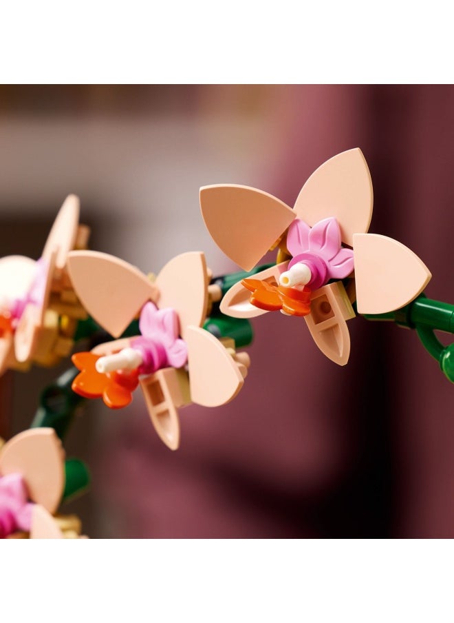 ليغو - هدية نبات الزينة الأوركيد الصغير من ليغو Botanicals للنساء والرجال، مجموعة بناء للبالغين لتصميم زهرة أوركيد، قطعة عرض وديكور للمنزل والمكتب، هدية نبات الزهور للبالغين 10343 (274 قطعة) - Image 1