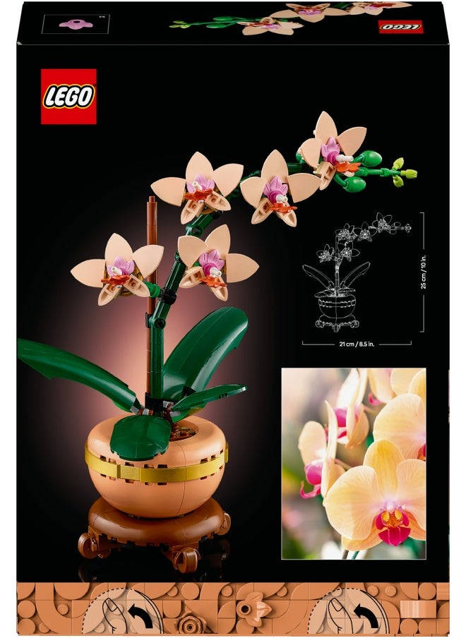 ليغو - هدية نبات الزينة الأوركيد الصغير من ليغو Botanicals للنساء والرجال، مجموعة بناء للبالغين لتصميم زهرة أوركيد، قطعة عرض وديكور للمنزل والمكتب، هدية نبات الزهور للبالغين 10343 (274 قطعة) - Image 1