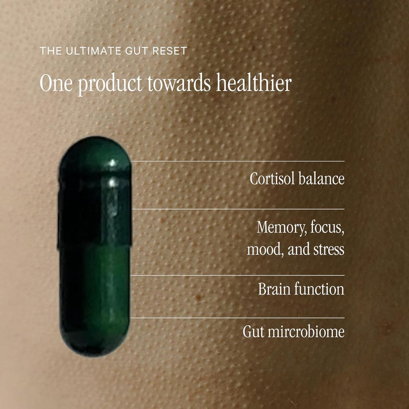 Juna Gut Therapy  Advanced Brain  Gut Health Support with Prebiotic  Probiotics  Improved Mood Attention  Energy  Supports Memory Focus  Mental Clarity  Fuel Cognitive Performance 80 Caps - Image 2