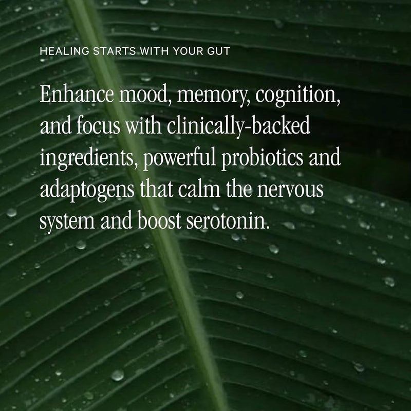 Juna Gut Therapy  Advanced Brain  Gut Health Support with Prebiotic  Probiotics  Improved Mood Attention  Energy  Supports Memory Focus  Mental Clarity  Fuel Cognitive Performance 80 Caps - Image 3