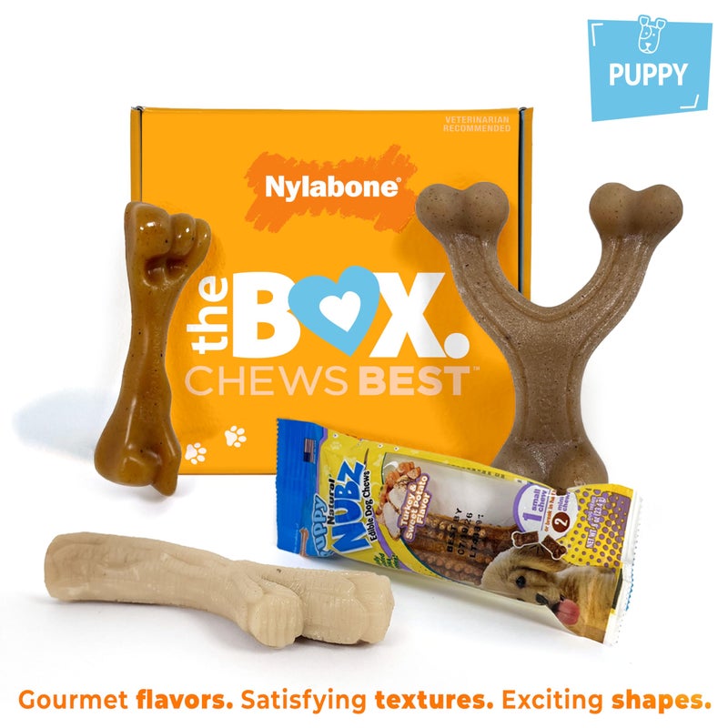 Nylabone Puppy Gift Box, Includes 3 Strong Puppy Chew Toys and 1 Natural Treat Bone for Puppies, Gifts for Puppies, Small Dogs - Up to 25 lbs., 4 Pack - Image 3