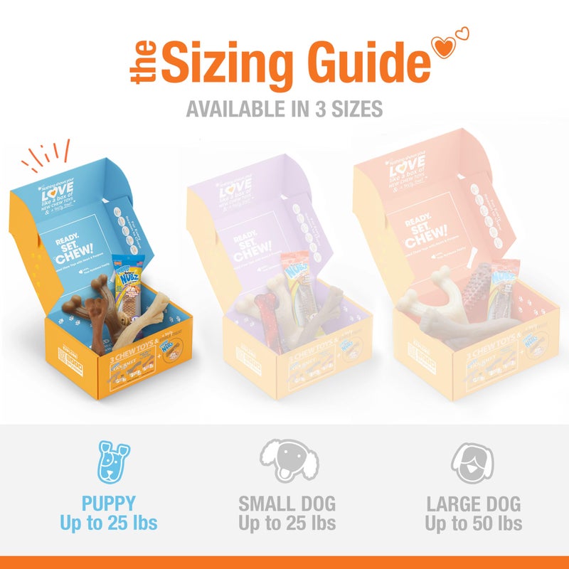 Nylabone Puppy Gift Box, Includes 3 Strong Puppy Chew Toys and 1 Natural Treat Bone for Puppies, Gifts for Puppies, Small Dogs - Up to 25 lbs., 4 Pack - Image 4