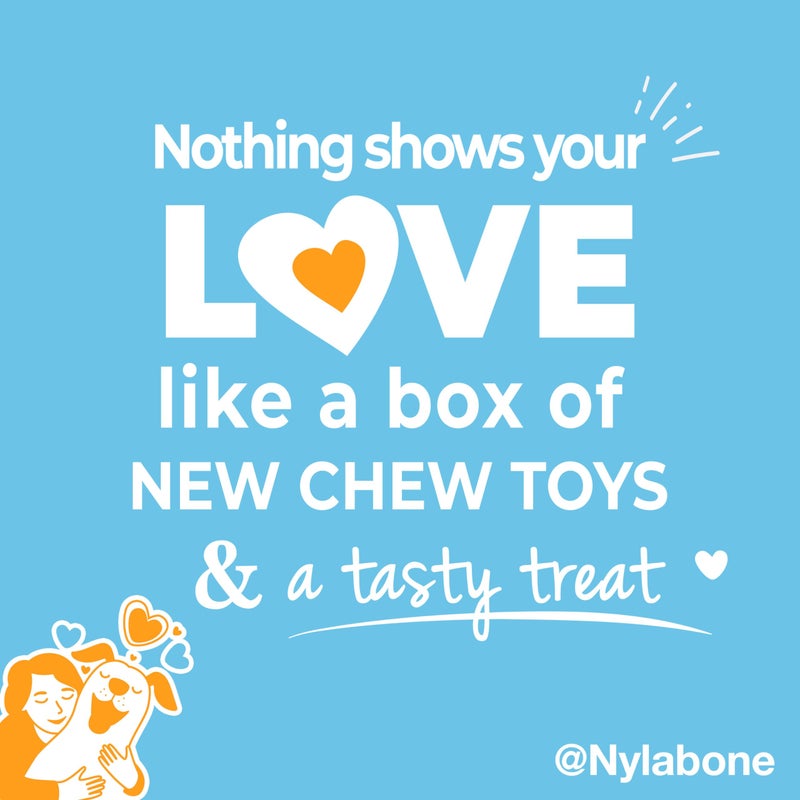 Nylabone Puppy Gift Box, Includes 3 Strong Puppy Chew Toys and 1 Natural Treat Bone for Puppies, Gifts for Puppies, Small Dogs - Up to 25 lbs., 4 Pack - Image 5
