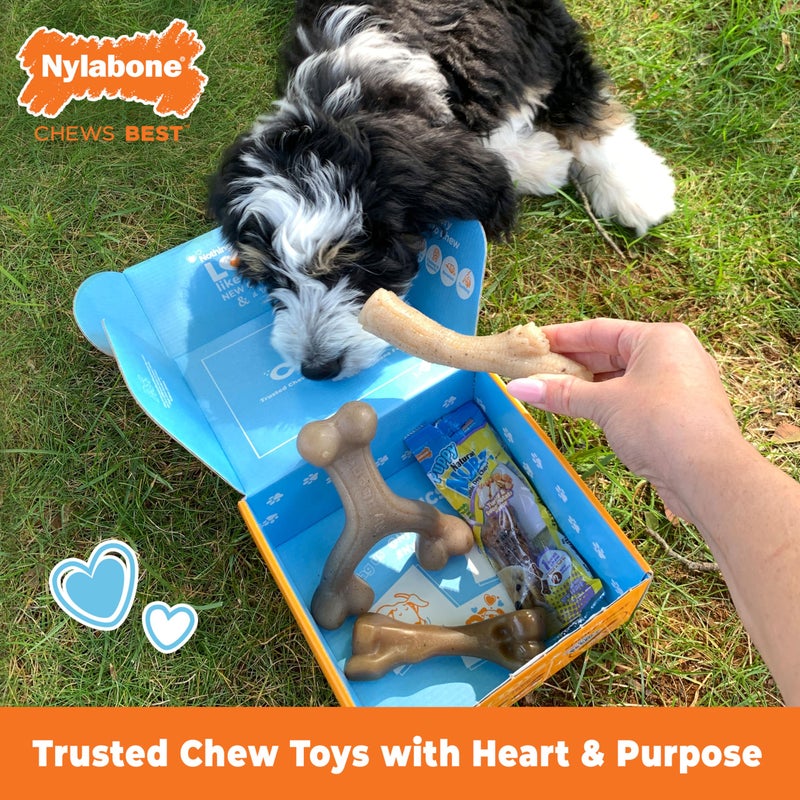 Nylabone Puppy Gift Box, Includes 3 Strong Puppy Chew Toys and 1 Natural Treat Bone for Puppies, Gifts for Puppies, Small Dogs - Up to 25 lbs., 4 Pack - Image 2