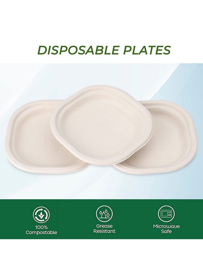 SANWALSA [6 inch, 50 Count, Square, Beige Disposable Bagasse Paper Plates | Eco-Friendly Sugarcane Plates for Wedding, Party, Cafes | Ideal for Both Hot & Cold Food - Image 3