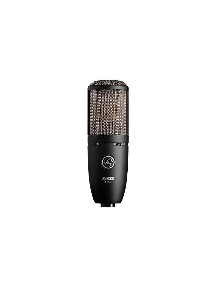 AKG AKG P220 High-Performance Condenser Microphone  - Image 3