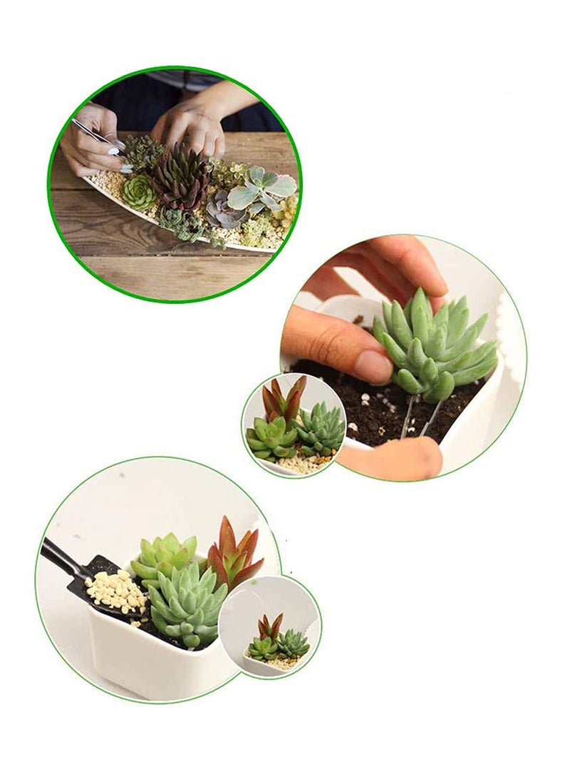 SYOSI 14 Pieces Gardening Tool Set Hand Rake For Gardening Bonsai Set Succulent Garden Hand Tools  - Image 3