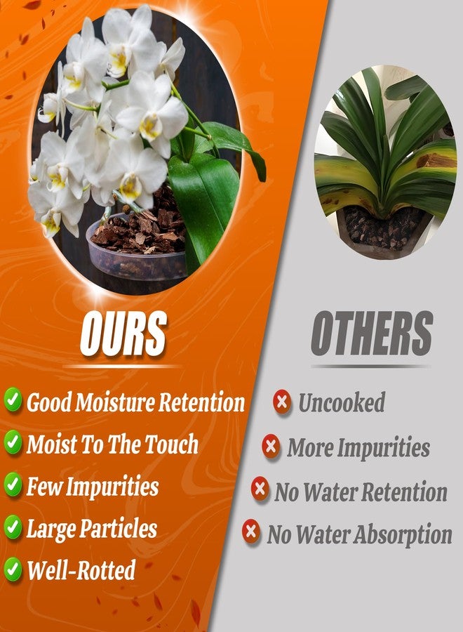 AVALUTION Orchid Potting Bark-3QT Organic Orchid Bark for Plants, All Natural Pine Bark Wood Chips for Houseplant Mulch, Orchid Plants Root Development, Mulch for Potted Plants - Image 5