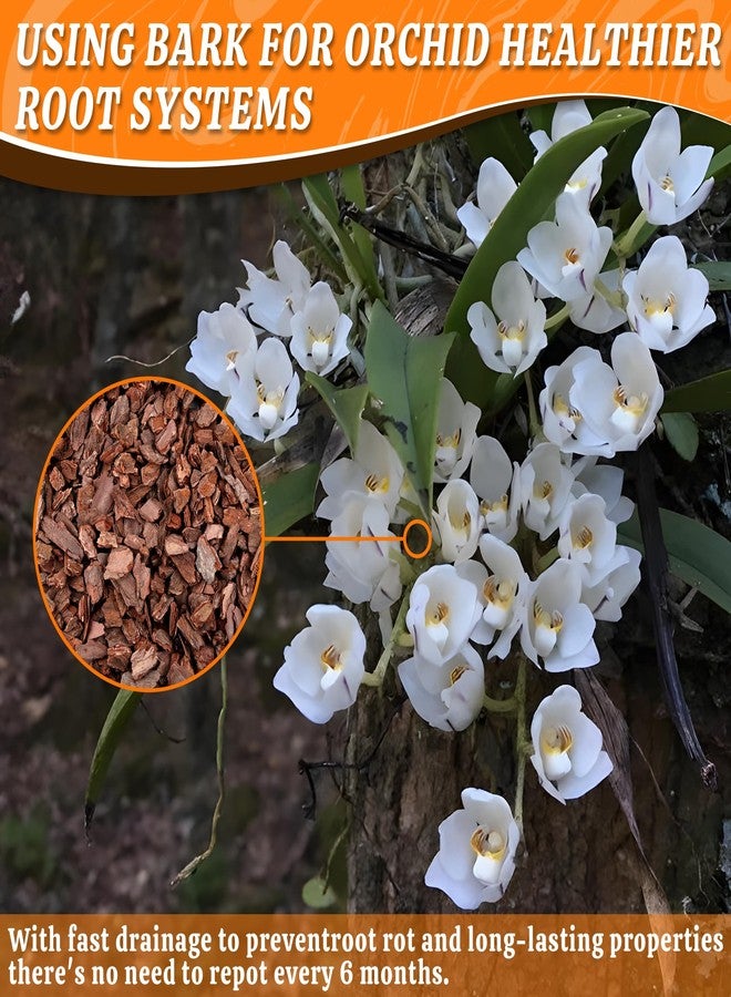 AVALUTION Orchid Potting Bark-3QT Organic Orchid Bark for Plants, All Natural Pine Bark Wood Chips for Houseplant Mulch, Orchid Plants Root Development, Mulch for Potted Plants - Image 3