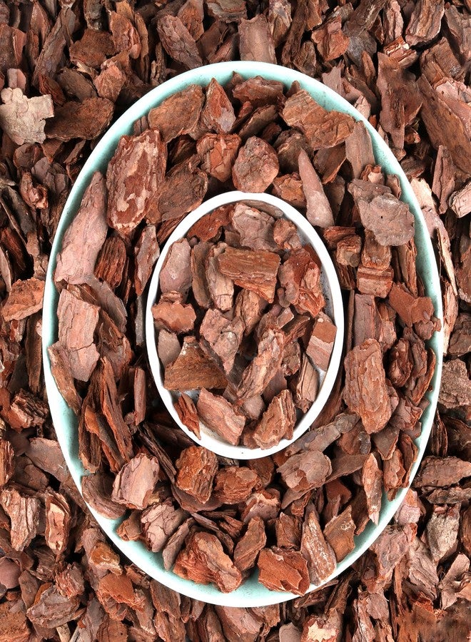 AVALUTION Orchid Potting Bark-3QT Organic Orchid Bark for Plants, All Natural Pine Bark Wood Chips for Houseplant Mulch, Orchid Plants Root Development, Mulch for Potted Plants - Image 1