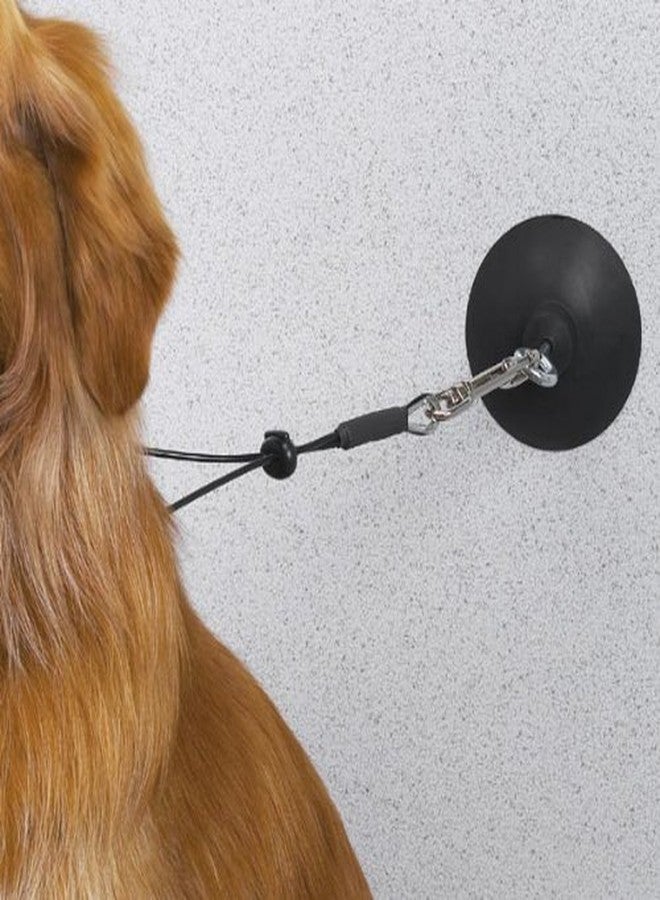 Top Performance (3 Pack) Top Performance Rubber Pet Suction Cup, 3.25 Inch - Image 2